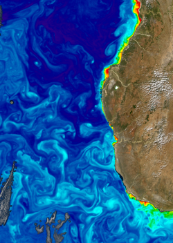 map of chlorophyll