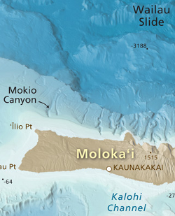 Hawaii seafloor